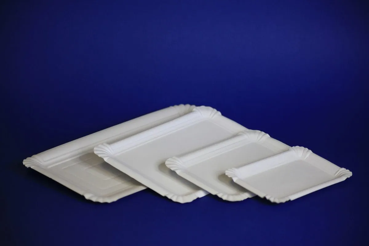 Pappteller 31- rechteckig - 13 x 20 cm Pappteller 31- rechteckig - 13 x 20 cm